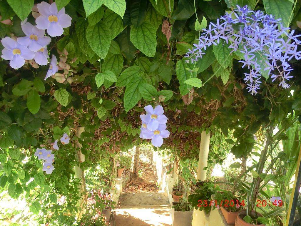 Chambres D'Hotes La Romana Dış mekan fotoğraf